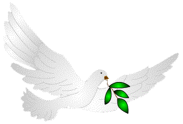 Holubice nesoucí zelenou snítku v zobáčku - symbol míru, naděje a života... Meditujte na To...